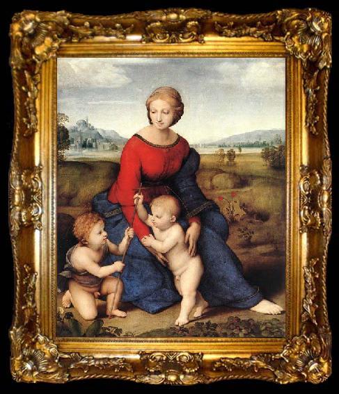 framed  Raffaello Madonna of Belvedere, ta009-2