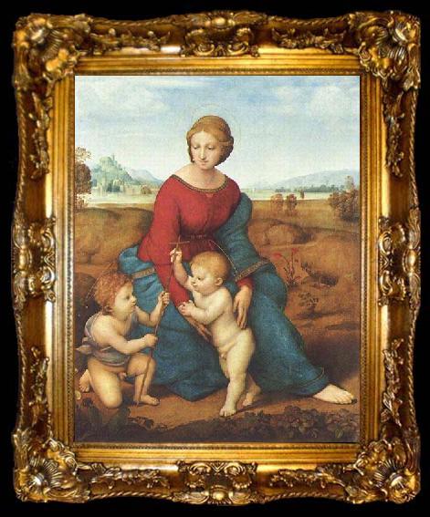 framed  Raphael The Madonna of the Meadow, ta009-2