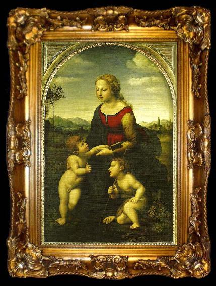 framed  Raphael virgin and child wild st., ta009-2