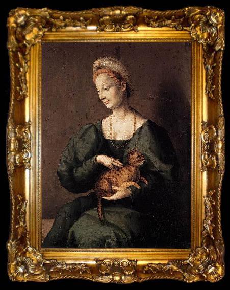 framed  BACCHIACCA Woman with a Cat, ta009-2