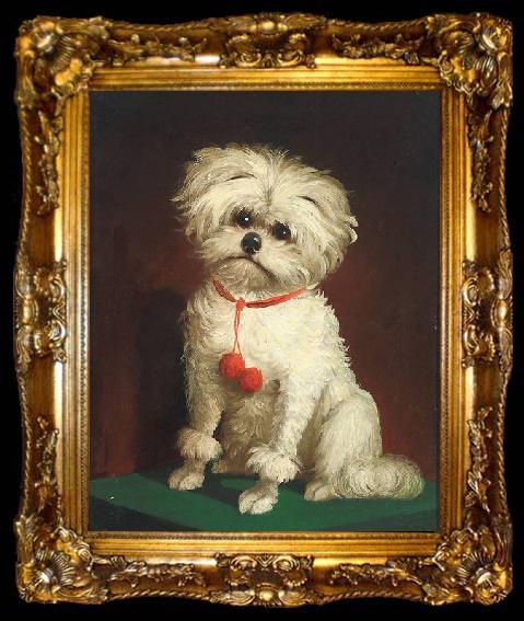 framed  Anonymous Portrait of a Maltese dog, ta009-2