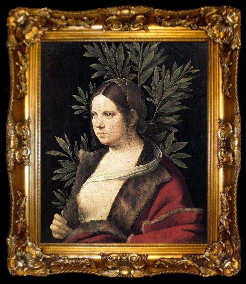 framed  Giorgione Portrait of a Young Woman, ta009-2