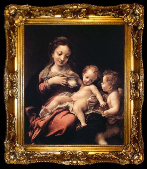 framed  Correggio Madonna del Latte, ta009-2